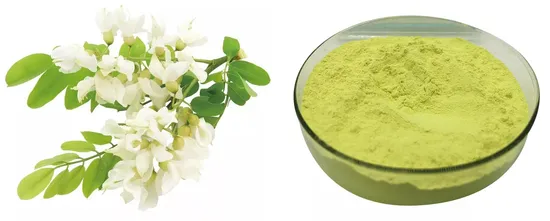  Gesundheitsrutin 95 % UV NF11;  Sophora Japonica-Extrakt Rutin